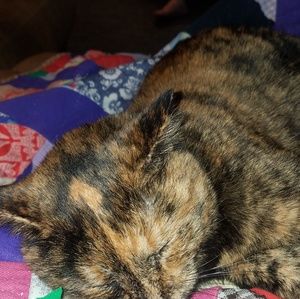 Meet your Posher, Katherine